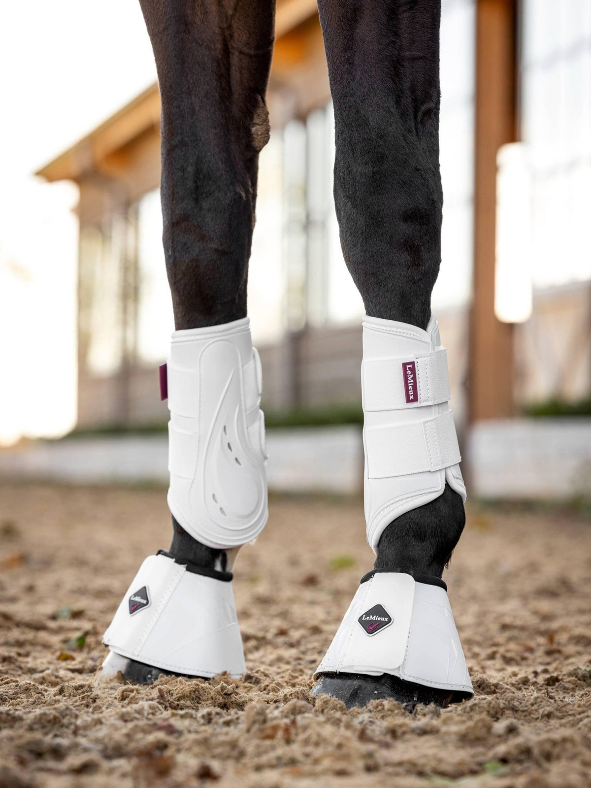 LeMieux ProShell Brushing Boots - Nags Essentials