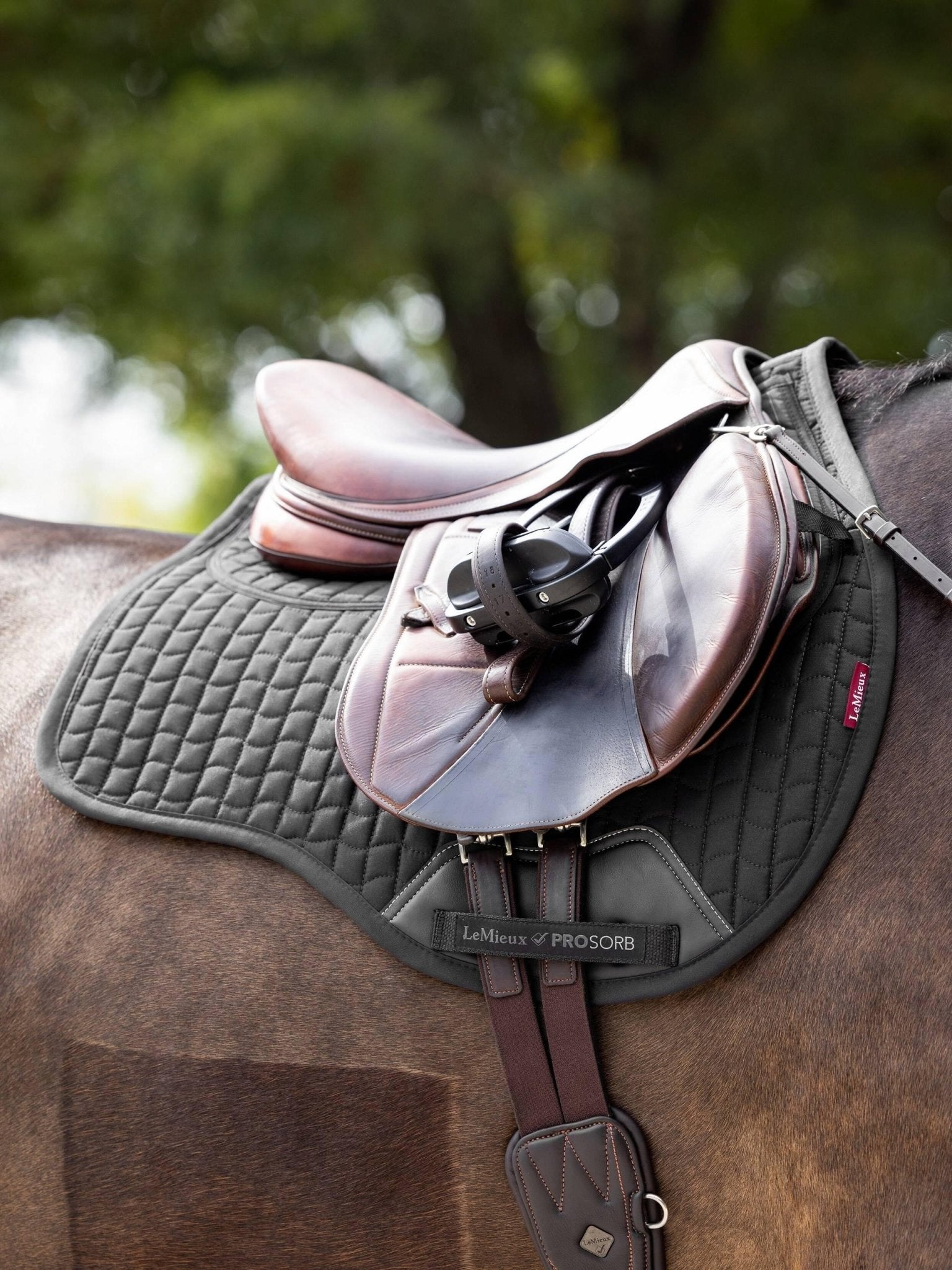 LeMieux ProSorb Plain 2 Pocket GP Square - Nags Essentials