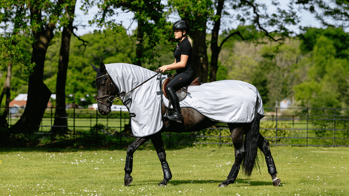 LeMieux Ride On Fly Rug - Nags Essentials