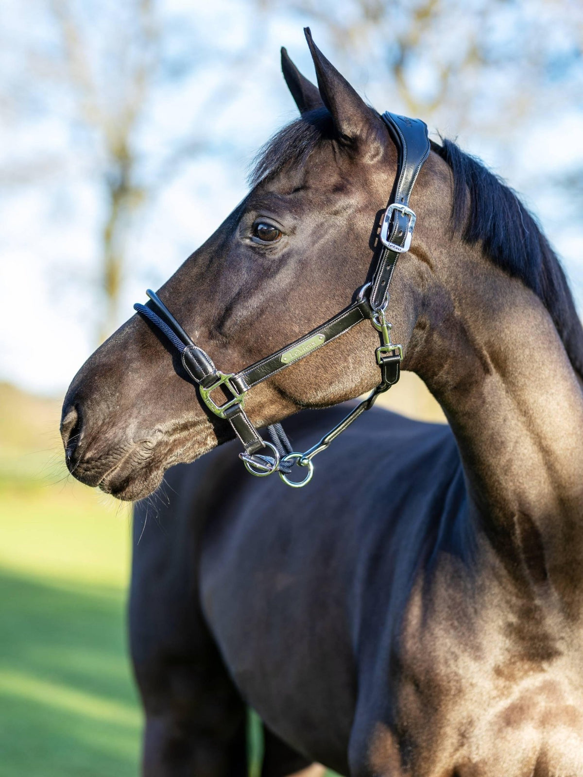LeMieux Rope Control Headcollar - Nags Essentials