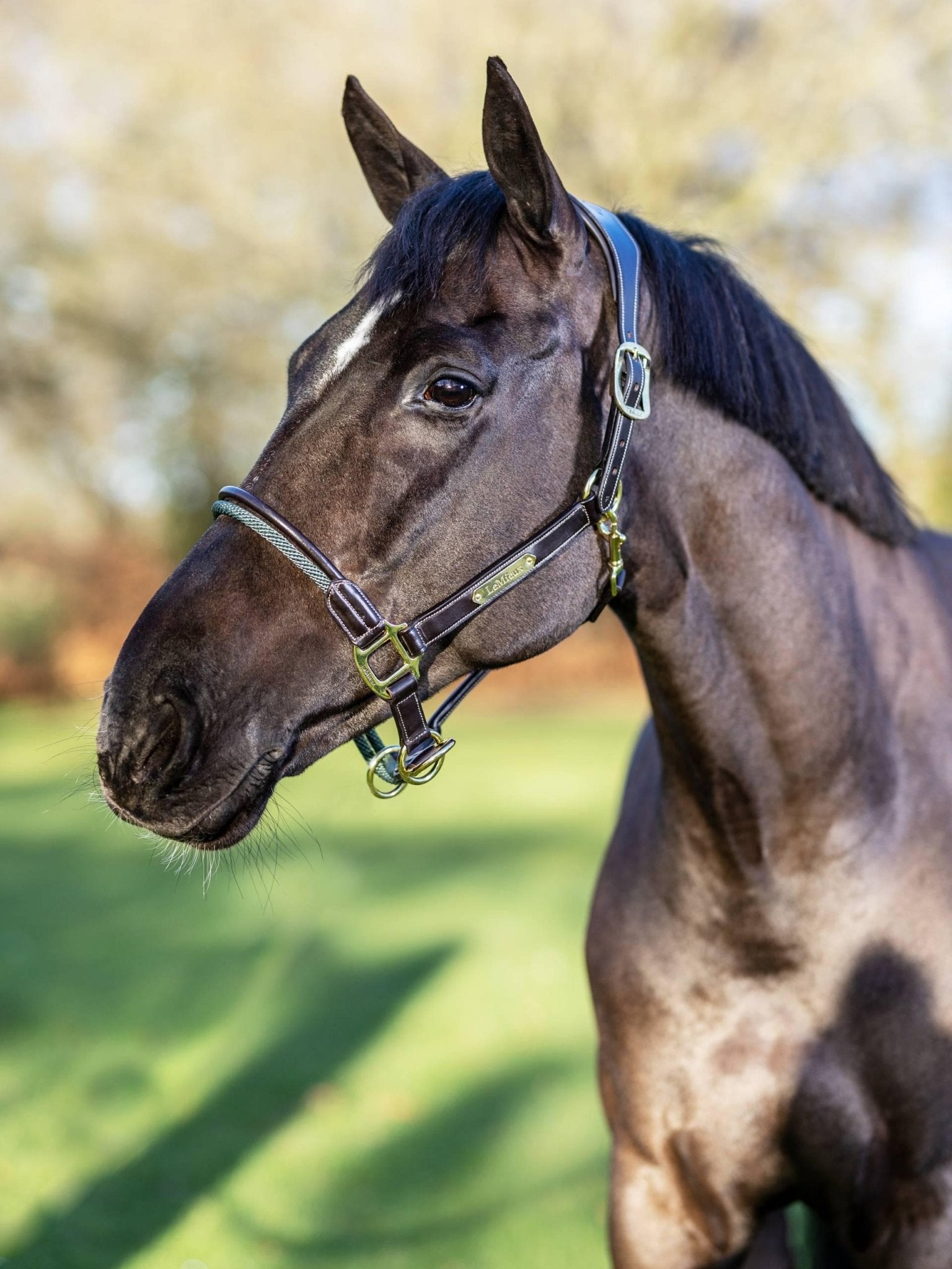 LeMieux Rope Control Headcollar - Nags Essentials