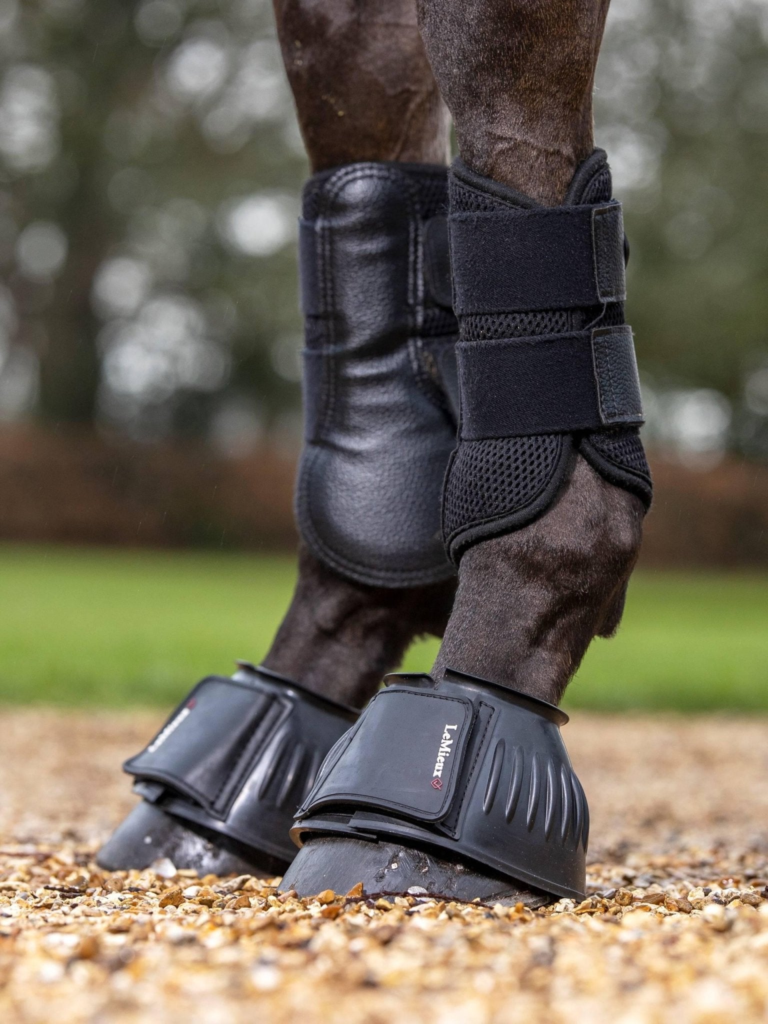 LeMieux Rubber Bell Boots - Nags Essentials