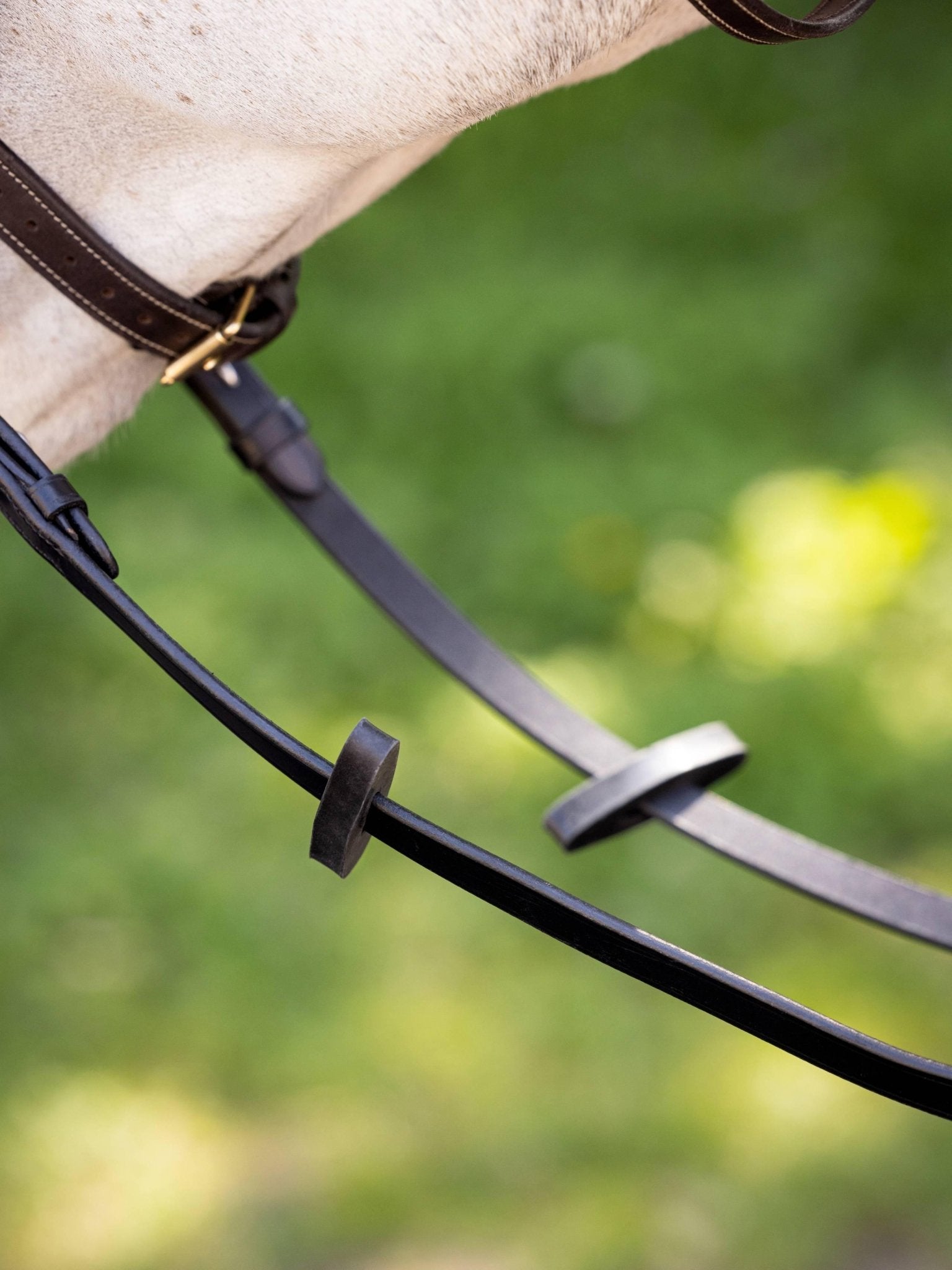 Lemieux Rubber Rein Stoppers - Nags Essentials