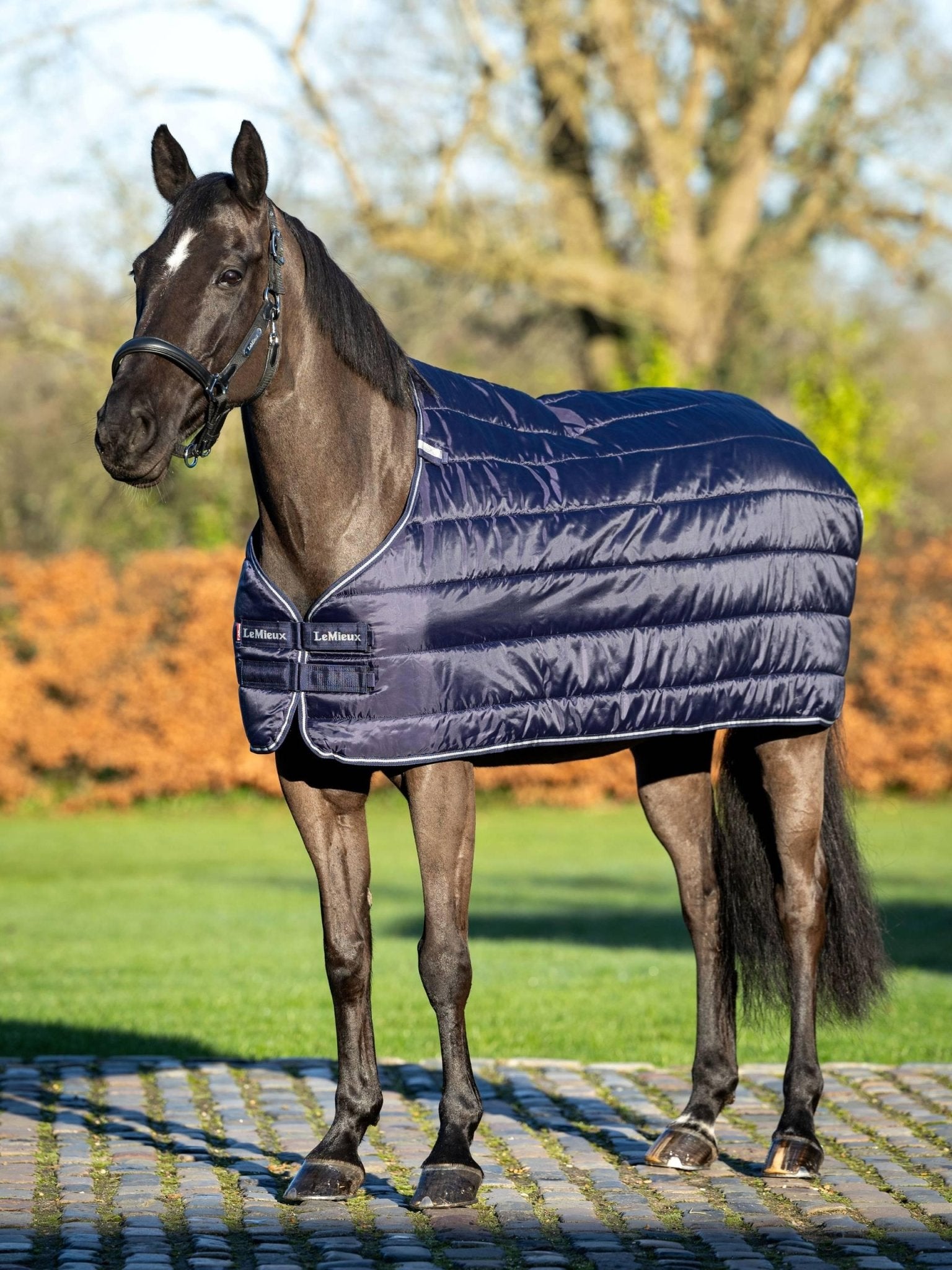 Lemieux Rug Liner 50g - Navy - Nags Essentials