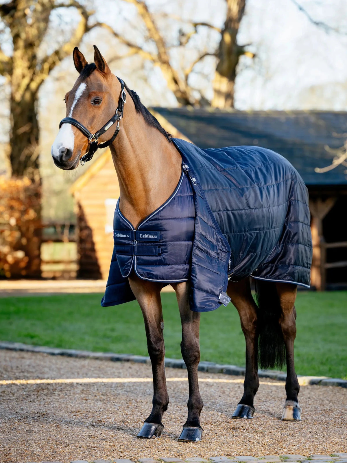 Lemieux Rug Liner 50g - Navy - Nags Essentials