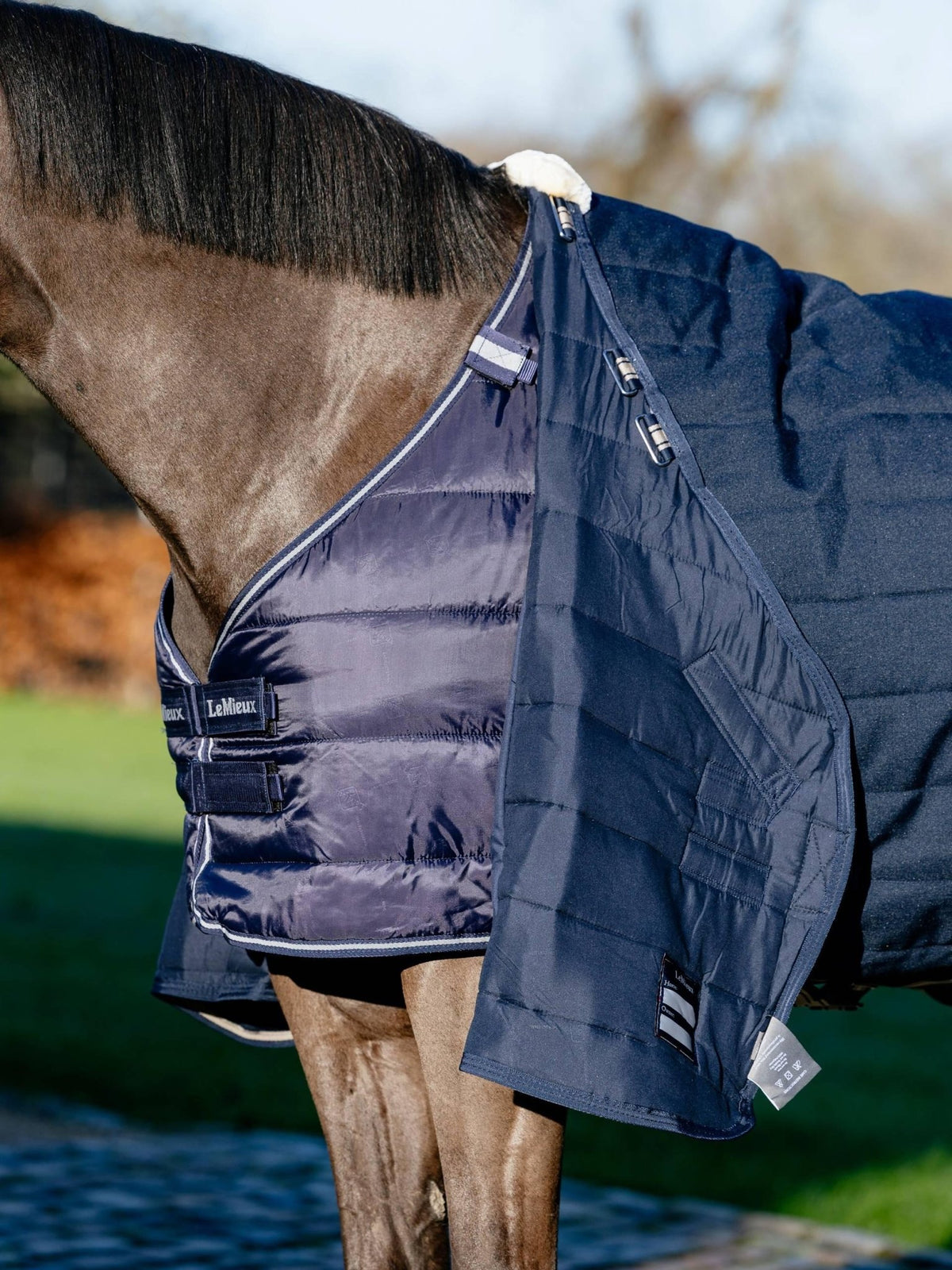 Lemieux Rug Liner 50g - Navy - Nags Essentials
