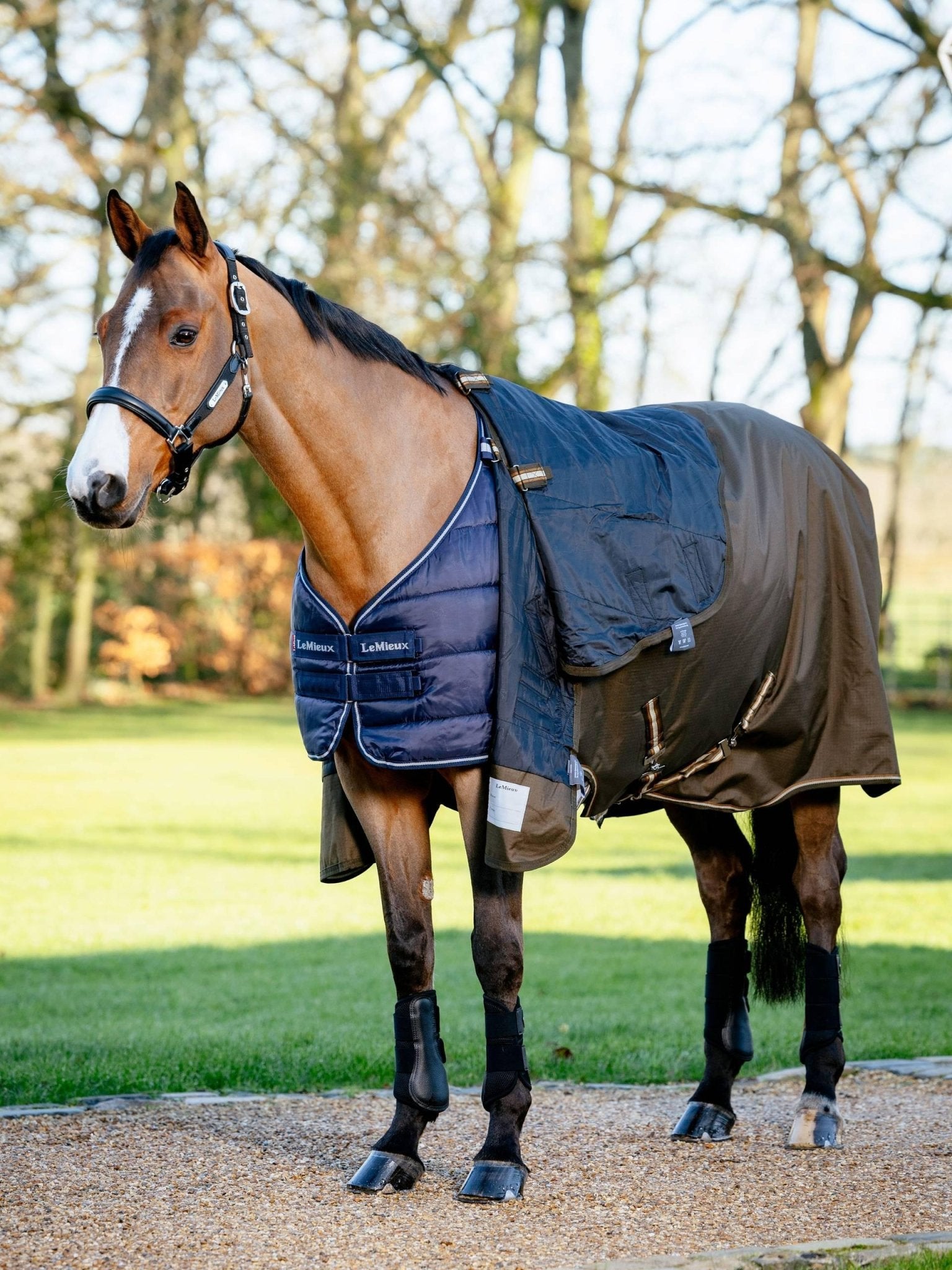 Lemieux Rug Liner 50g - Navy - Nags Essentials