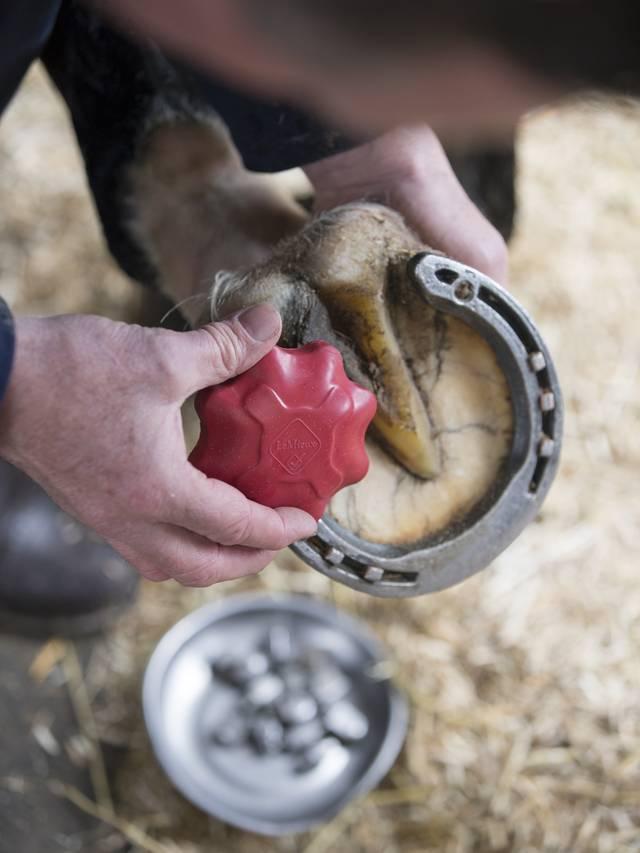 LeMieux Safety Stud Tap - Nags Essentials