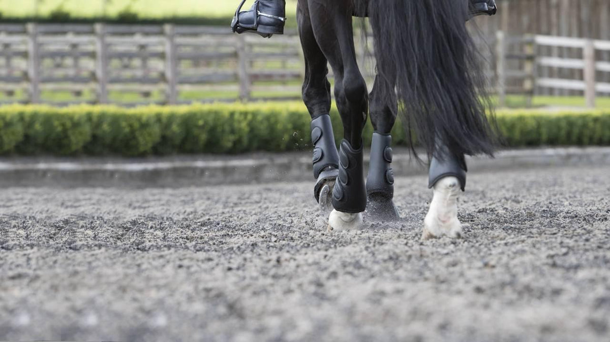 LeMieux Schooling Boots - Nags Essentials