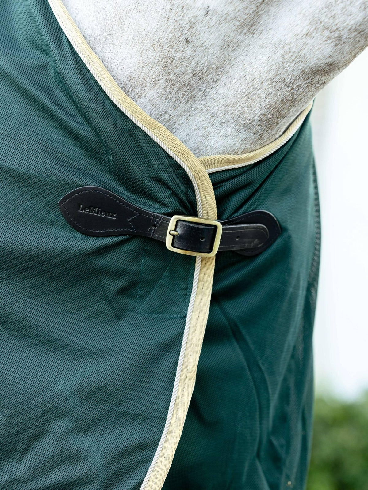 LeMieux Scrim Rug - Nags Essentials
