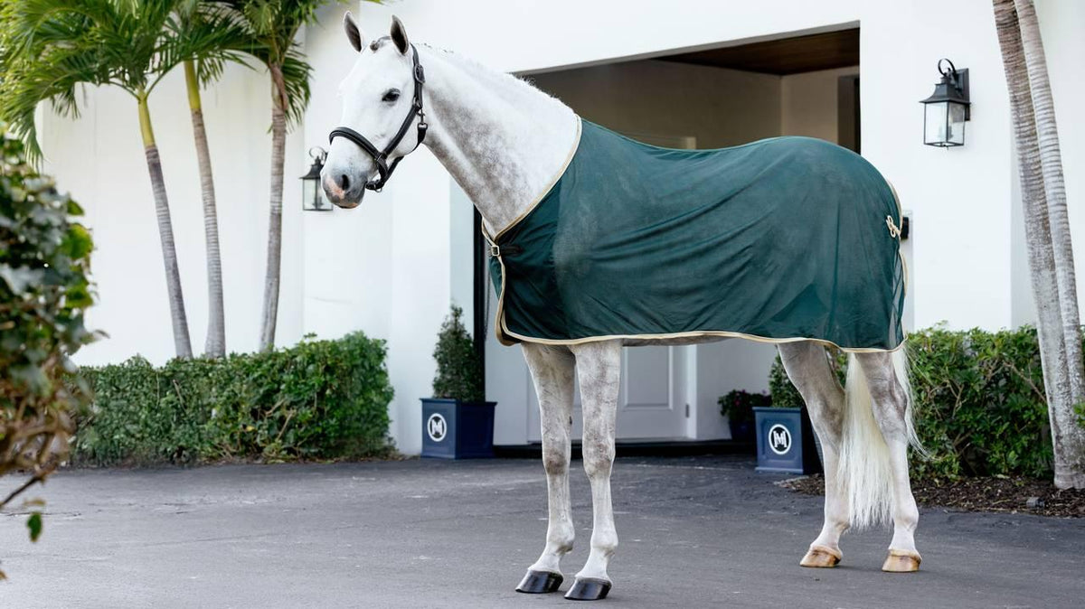 LeMieux Scrim Rug - Nags Essentials