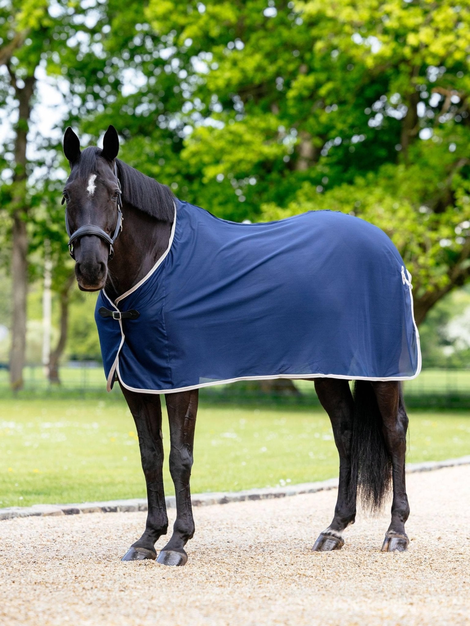 LeMieux Scrim Rug - Nags Essentials