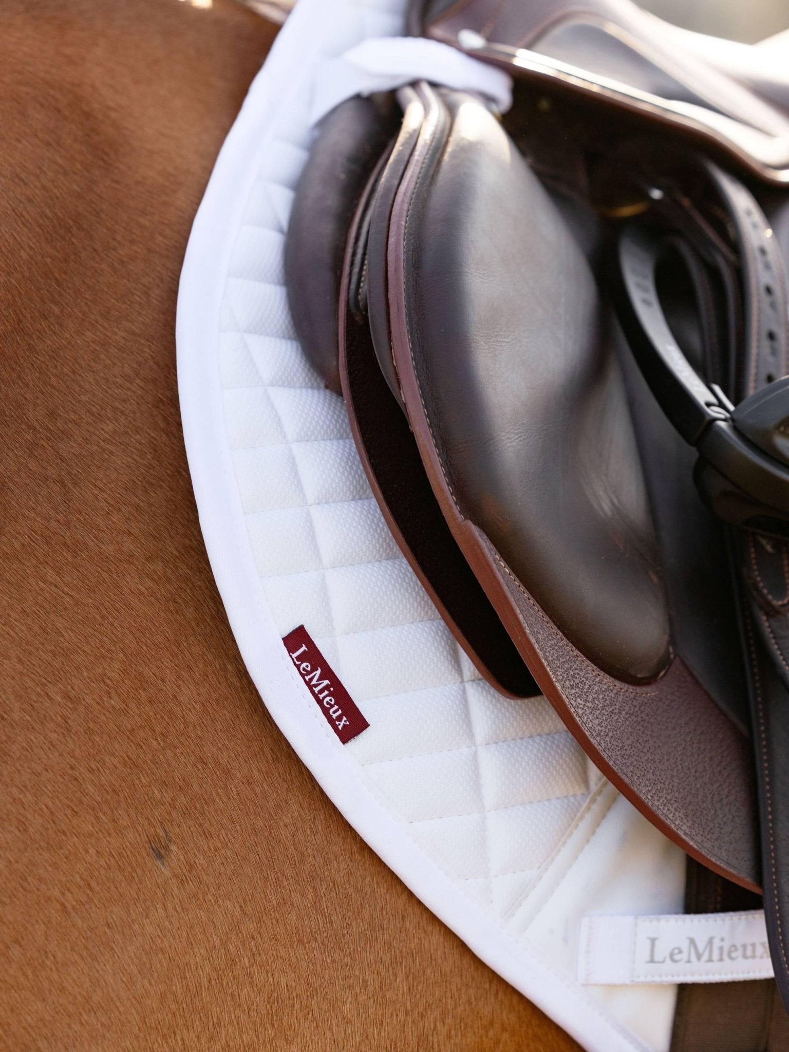 Lemieux Self - Cool Close Contact Half Square - Nags Essentials