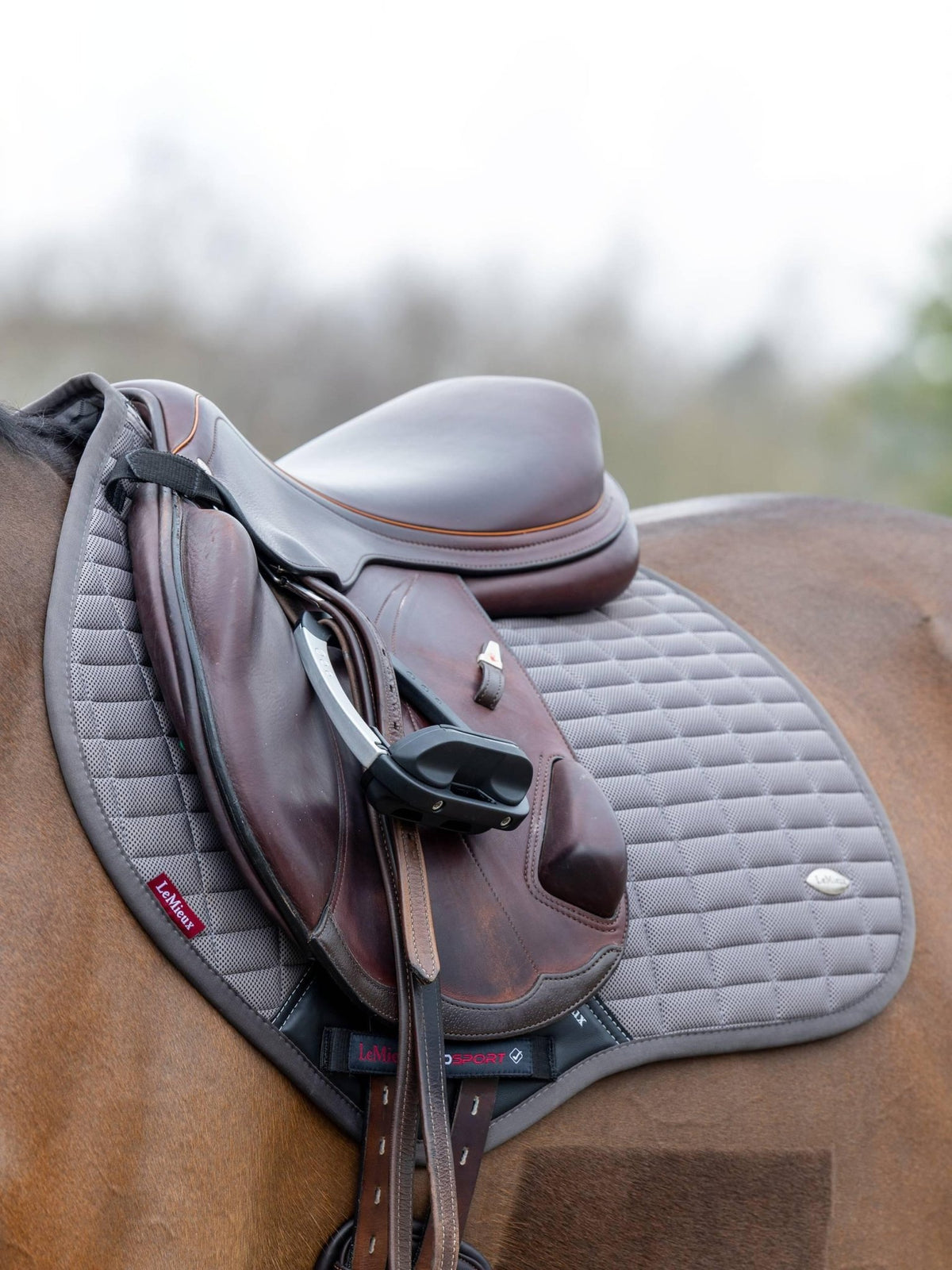 Lemieux Self-Cool Close Contact Square - Nags Essentials