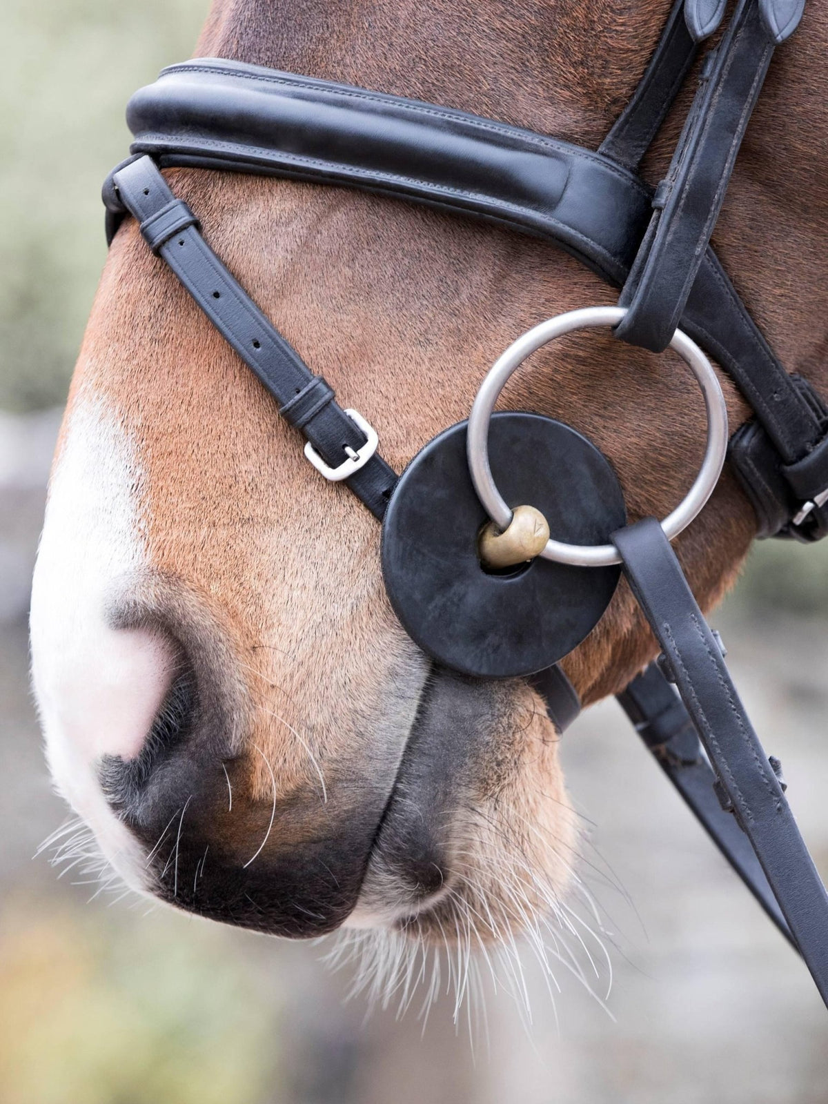 Lemieux Silicone Bit Rings - Nags Essentials