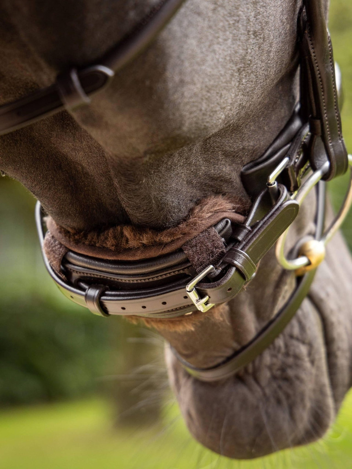 Lemieux Simuwool Chin/Noseband Guard - Nags Essentials