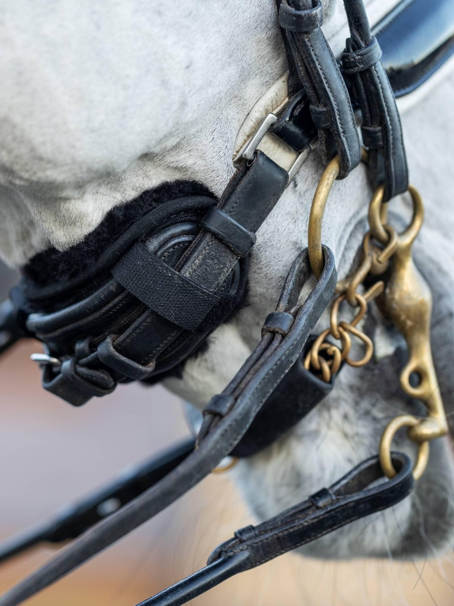 Lemieux Simuwool Chin/Noseband Guard - Nags Essentials