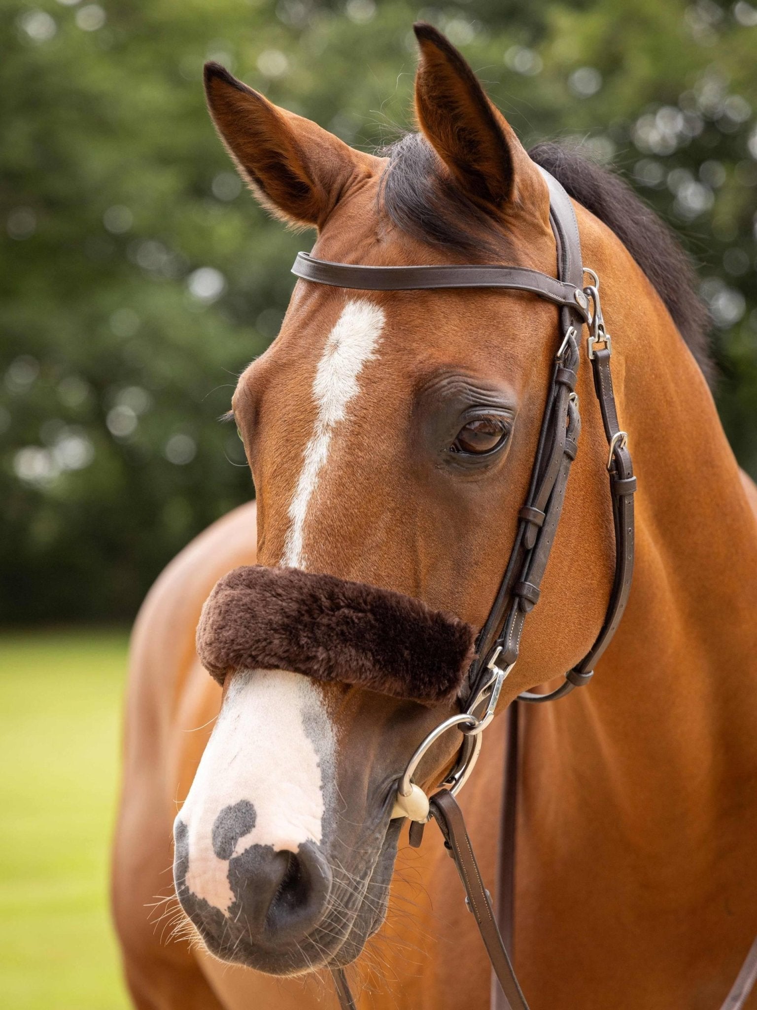 Lemieux Simuwool Noseband Cover - Nags Essentials