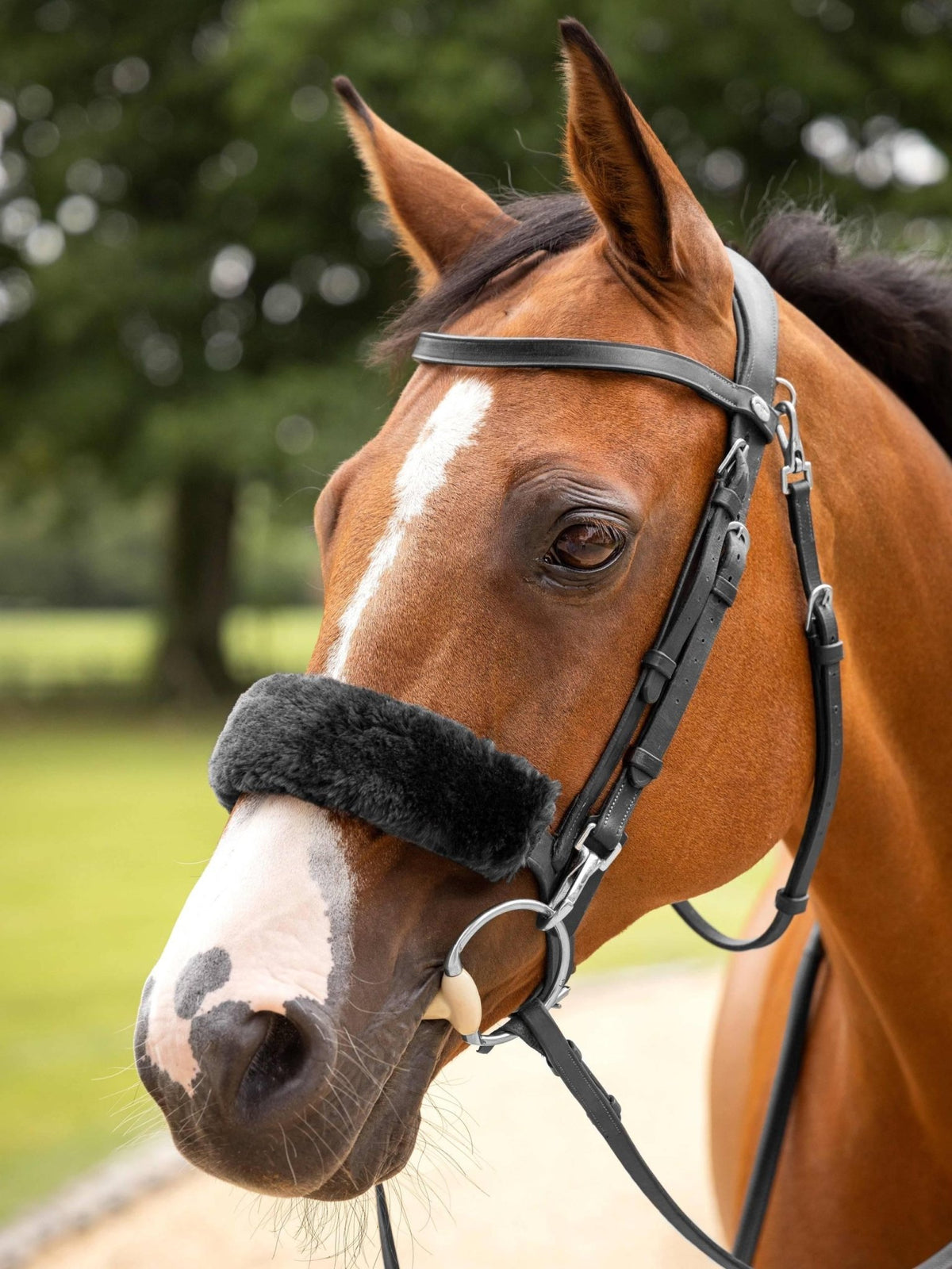 Lemieux Simuwool Noseband Cover - Nags Essentials