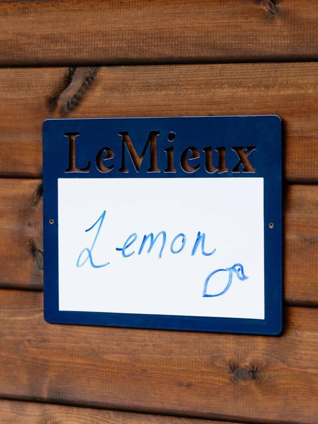 LeMieux Stable Magnetic Whiteboard - Nags Essentials