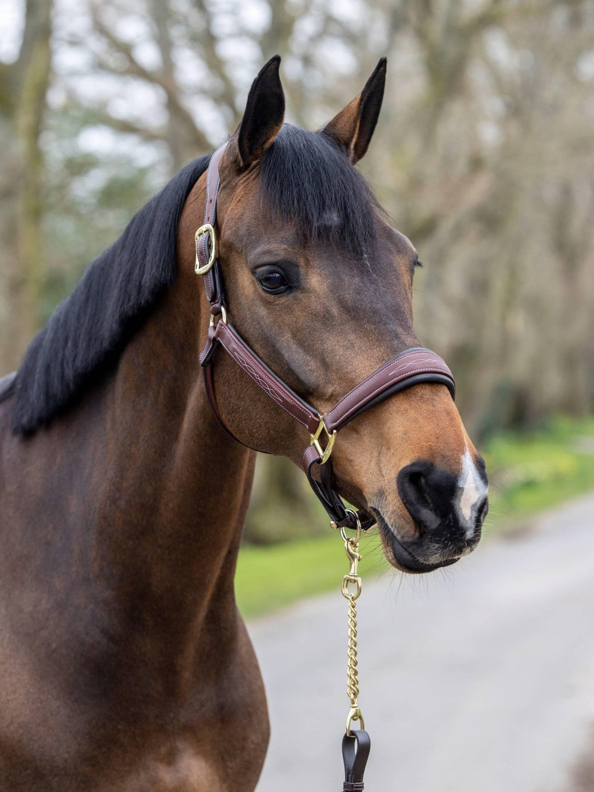LeMieux Stitched Leather Headcollar - Nags Essentials