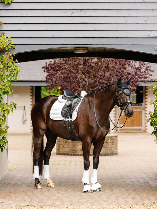 LeMieux Suede Dressage Square - Nags Essentials