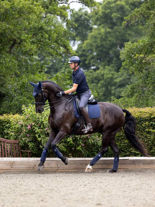 LeMieux Suede Dressage Square - Nags Essentials