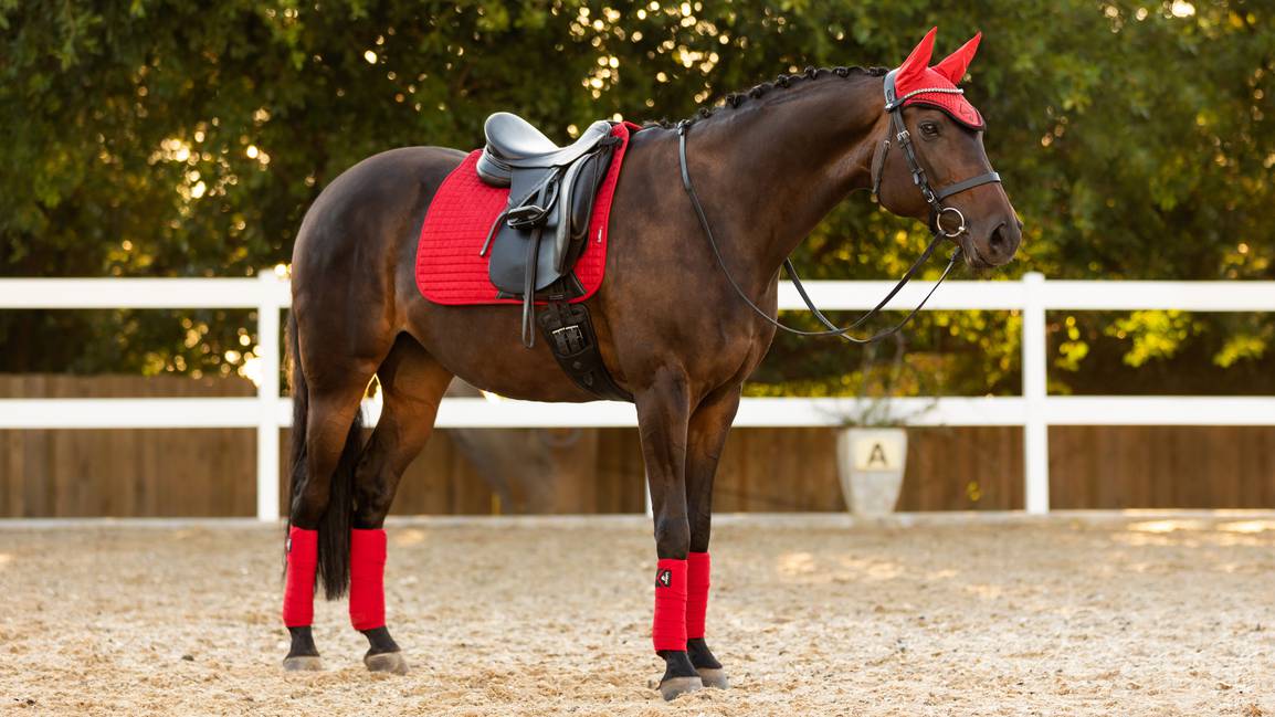 LeMieux Suede Dressage Square - Nags Essentials