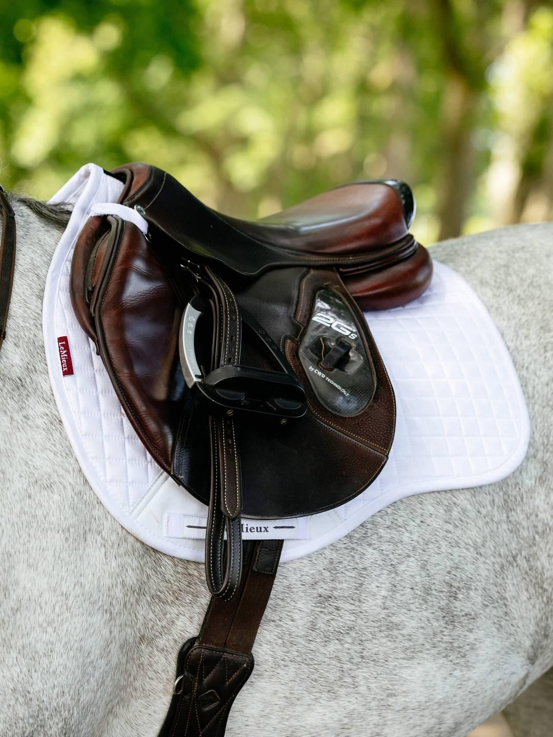 LeMieux Suede GP Square - Nags Essentials