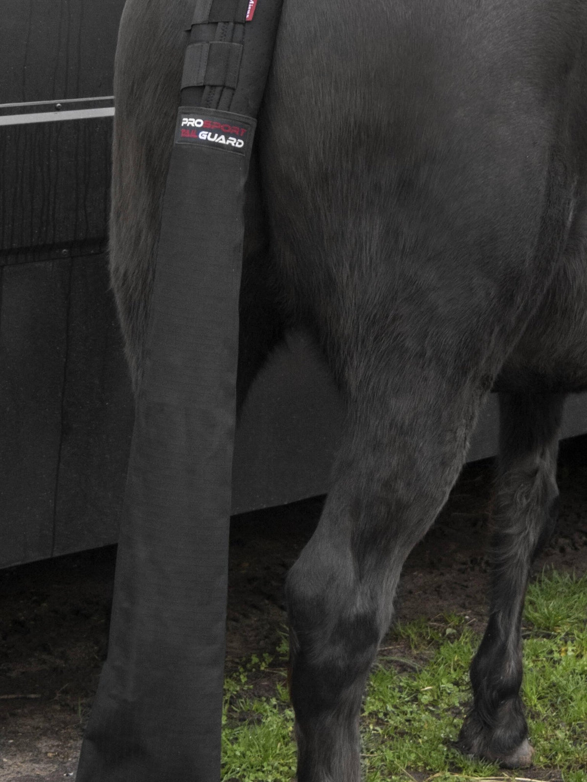 Lemieux Tail Guard with Bag - Black - Nags Essentials