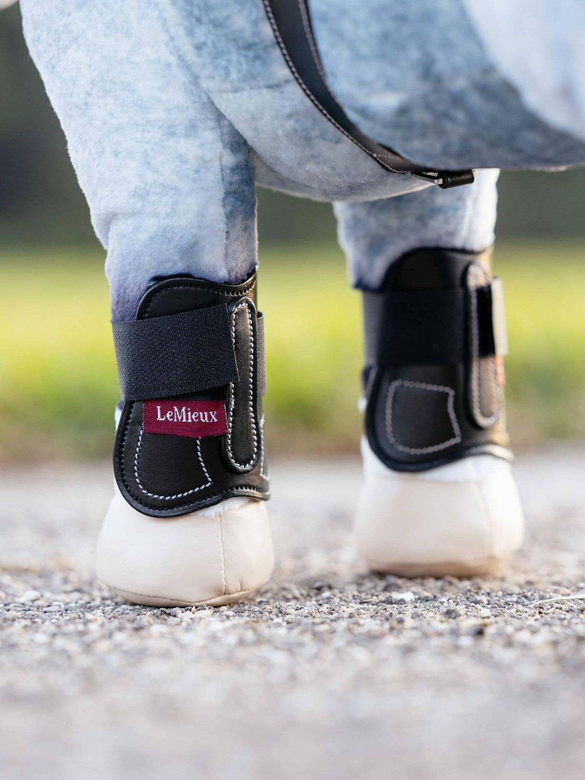 LeMieux Toy Pony Capella Boots - Nags Essentials