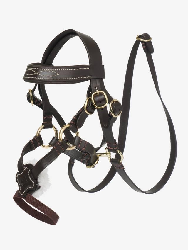LeMieux Toy Pony Grackle Bridle - Nags Essentials