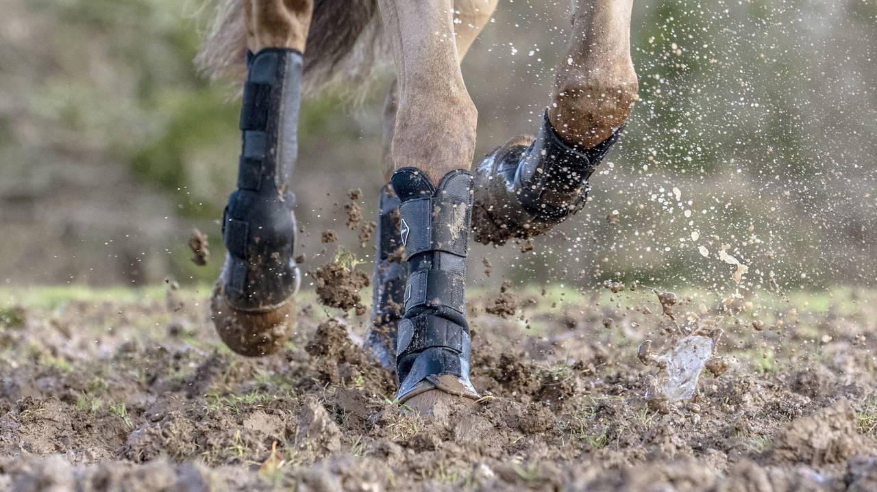 LeMieux Turnout Boots - Black - Nags Essentials