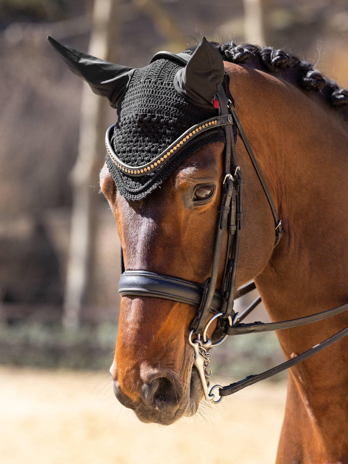 LeMieux Vogue Fly Hood - Nags Essentials