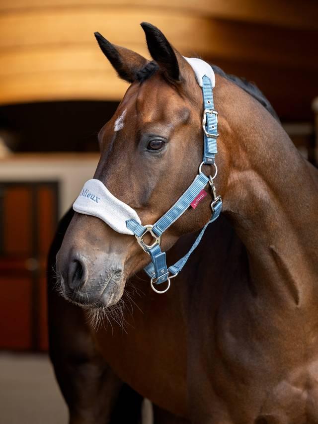 LeMieux Vogue Headcollar & Leadrope - Nags Essentials