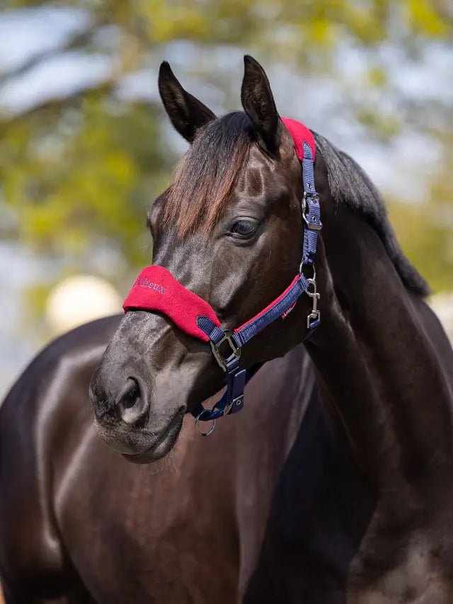 LeMieux Vogue Headcollar & Leadrope - Nags Essentials