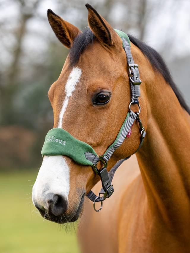 LeMieux Vogue Headcollar & Leadrope - Nags Essentials