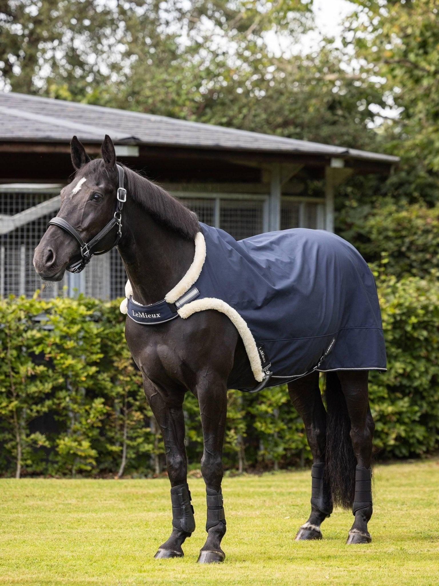 LeMieux Walker Rug - Navy - Nags Essentials