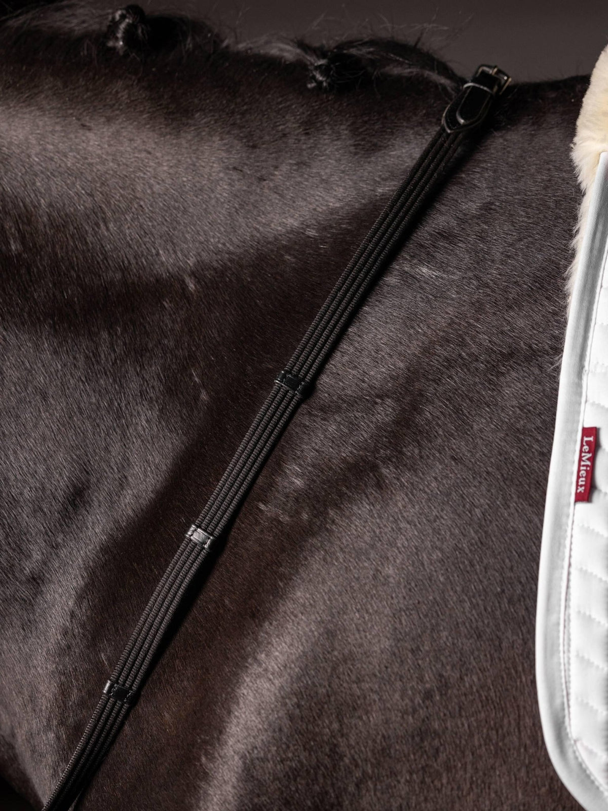 LeMieux Webbed Continental Reins - Nags Essentials