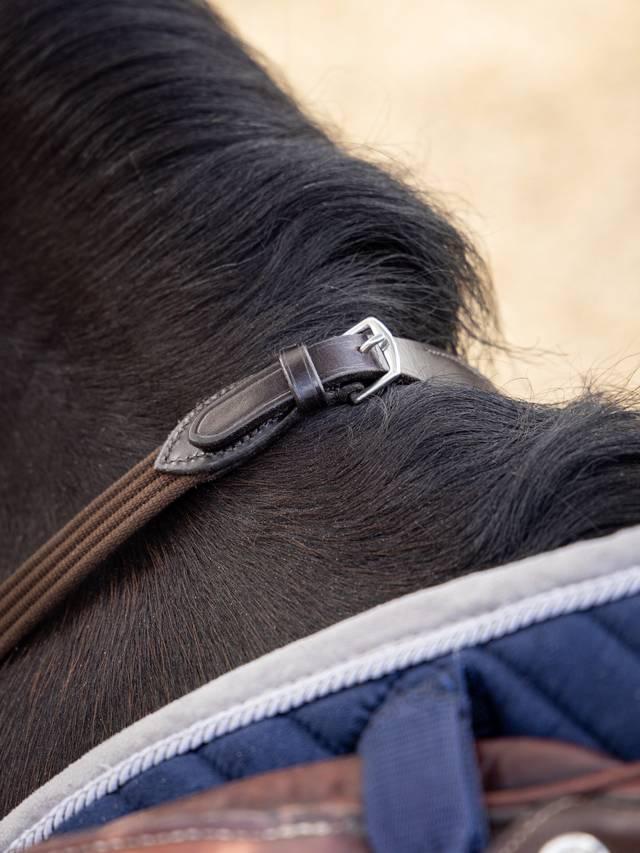 LeMieux Webbed Continental Reins - Nags Essentials