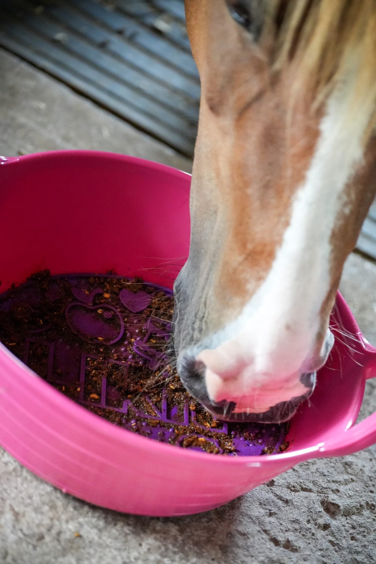 Likit Graze Maze - Nags Essentials