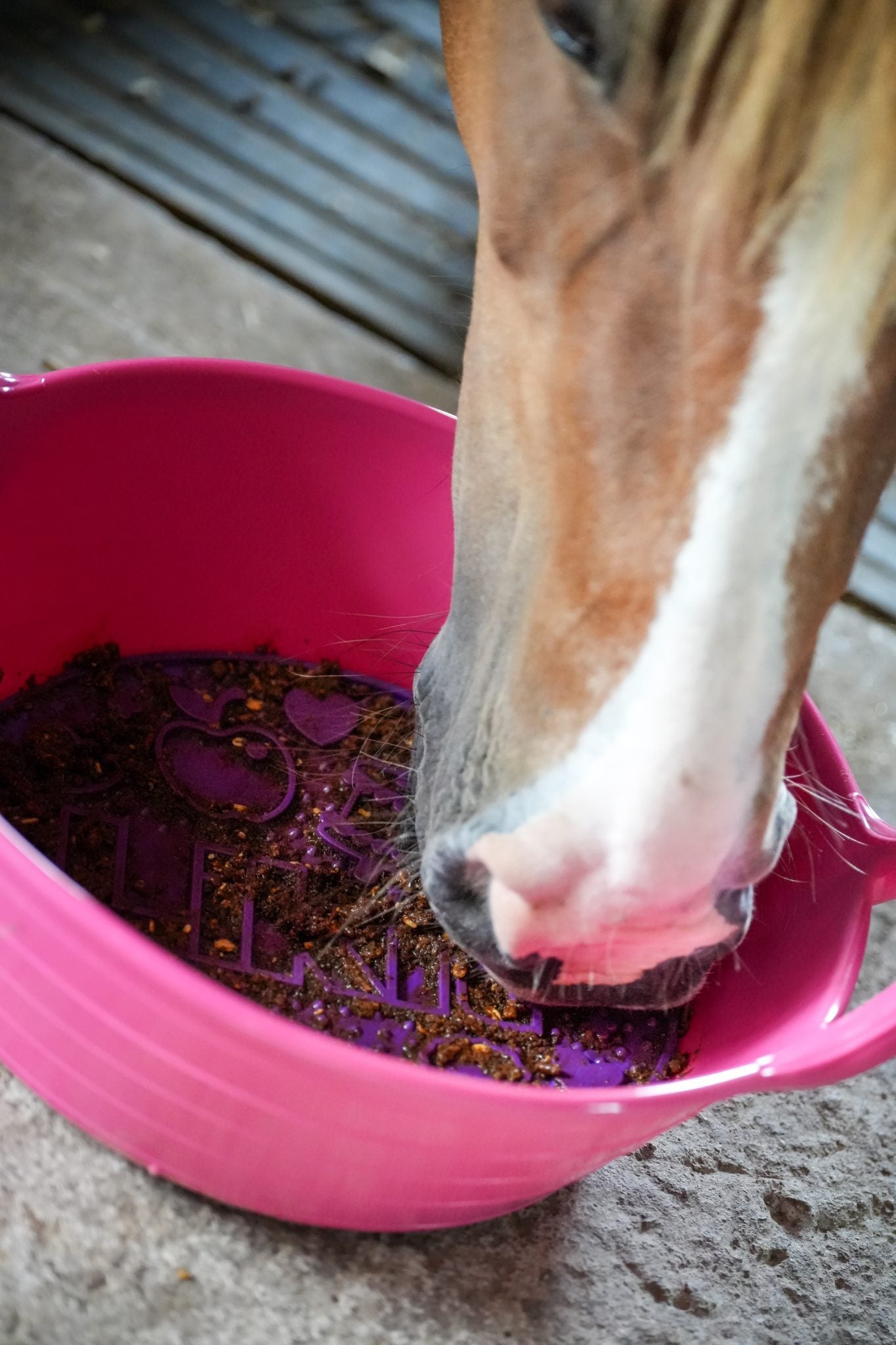 Likit Graze Maze - Nags Essentials