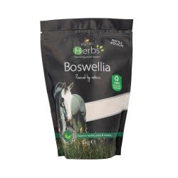 Lincoln Herbs Boswellia - Nags Essentials