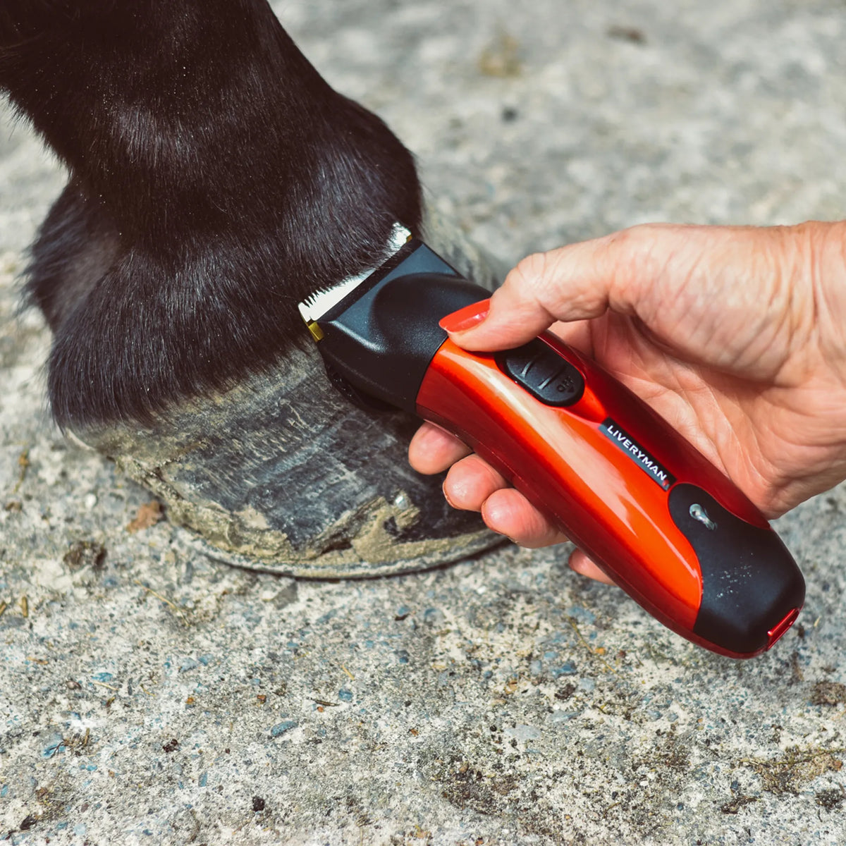 Liveryman Classic Trimmers