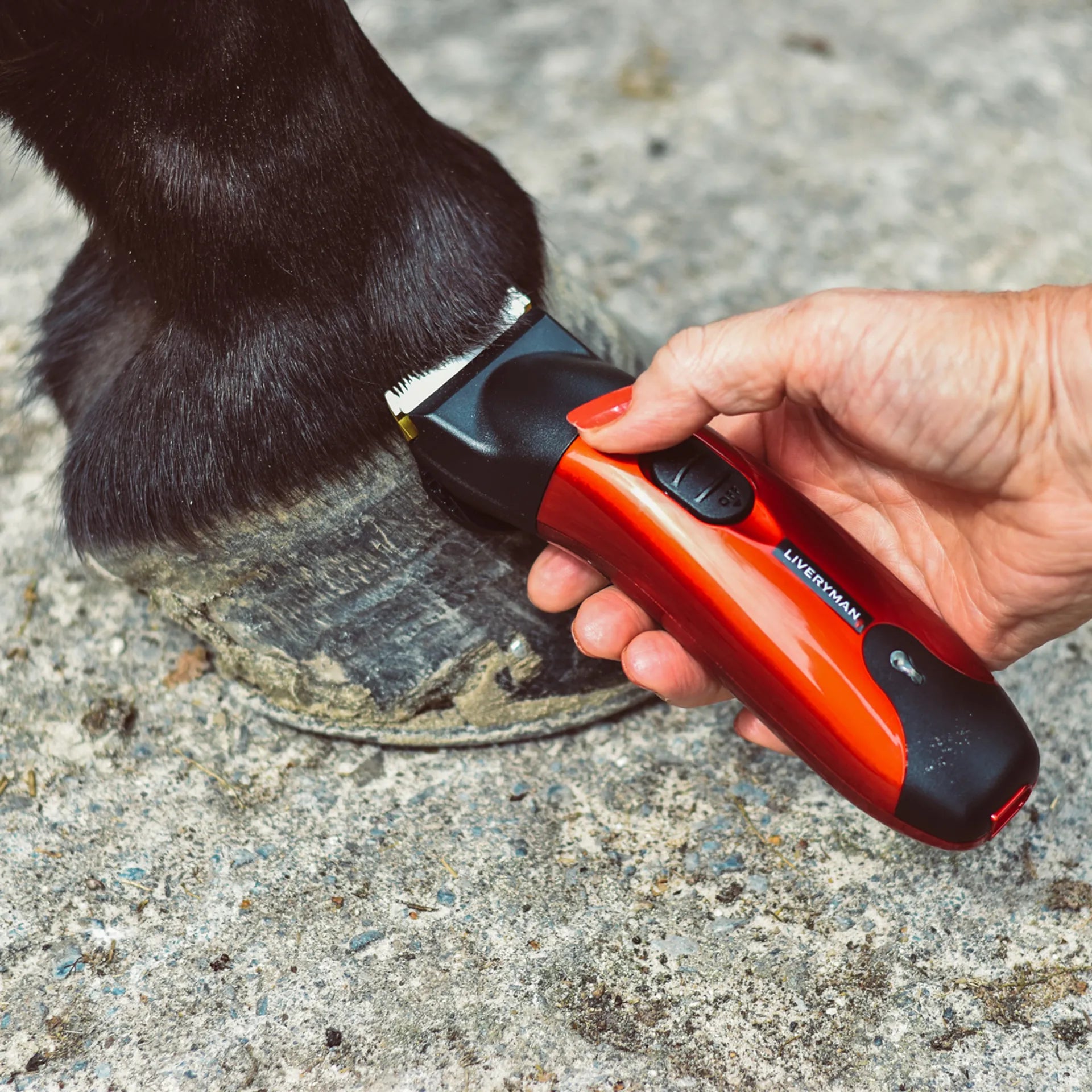 Liveryman Classic Trimmers