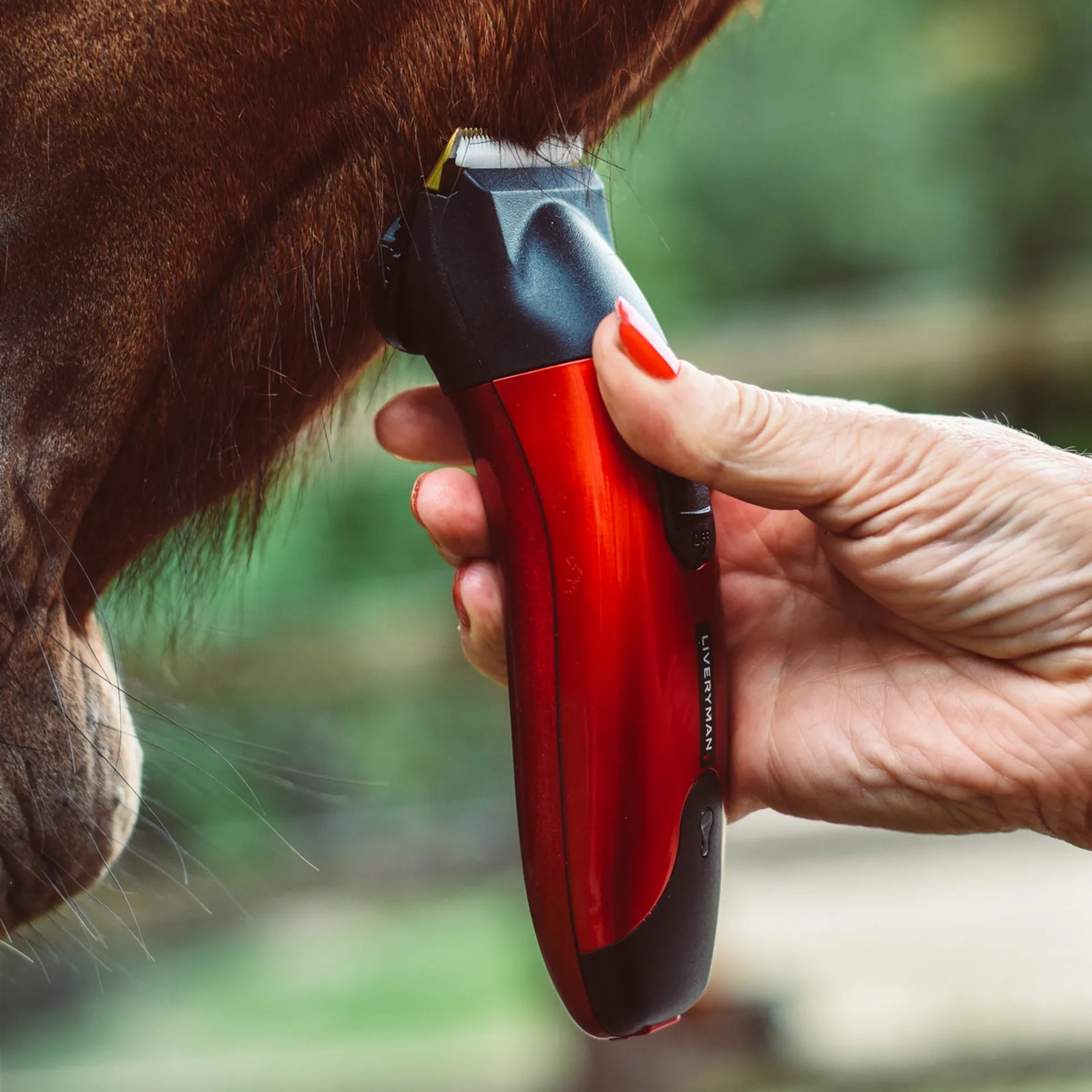 Liveryman Classic Trimmers