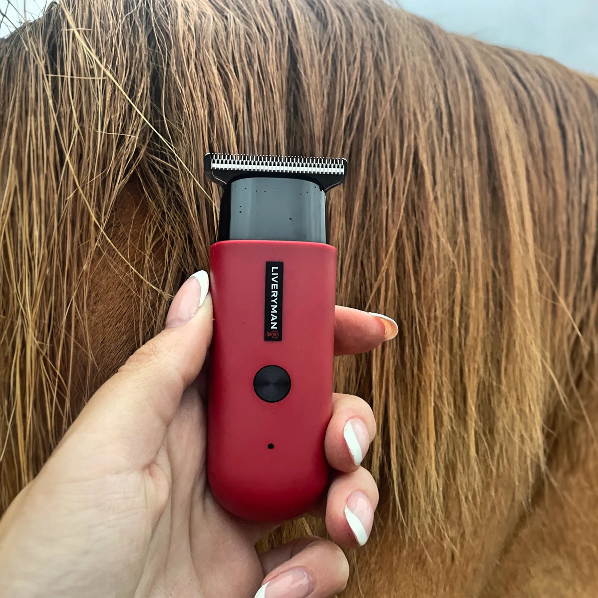 Liveryman Robin Trimmers