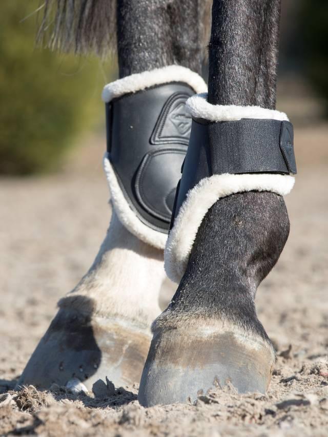 LeMieux Capella Comfort Fetlock Boots