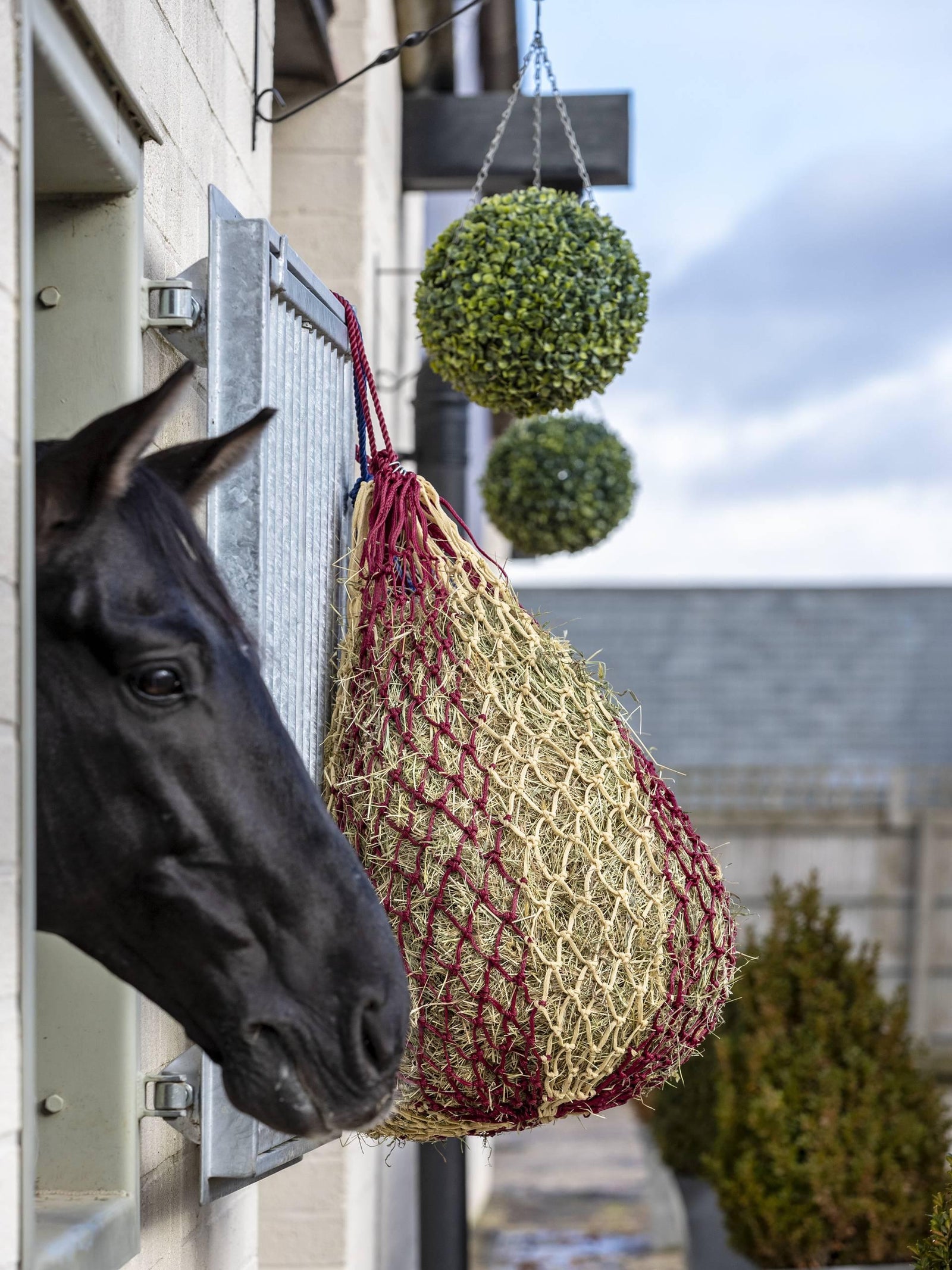 LeMieux Hippo Haynet