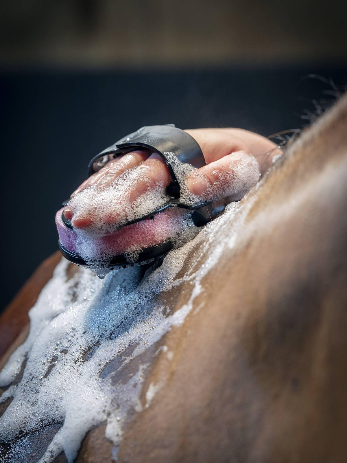 LeMieux Hippo Scrubber - Black